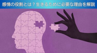 感情の役割とは？生きるために必要な理由を解説